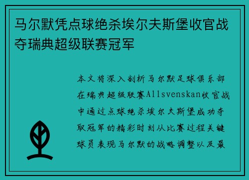马尔默凭点球绝杀埃尔夫斯堡收官战夺瑞典超级联赛冠军